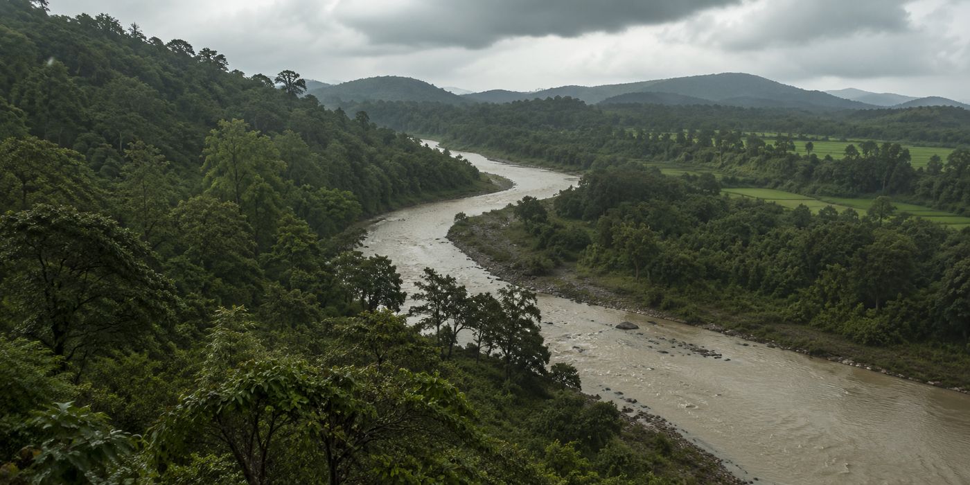 A forested river winds through intact tiger habitat after monsoon rain.