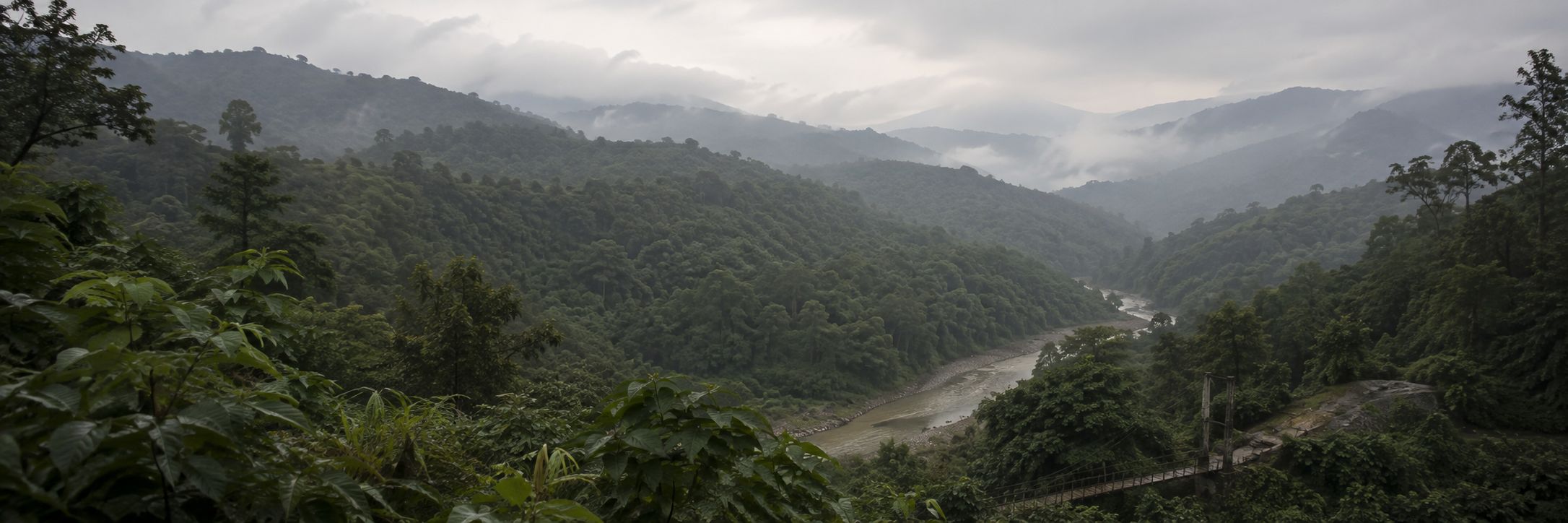 Forested mountains fade into mist across a tiger landscape in Asia.